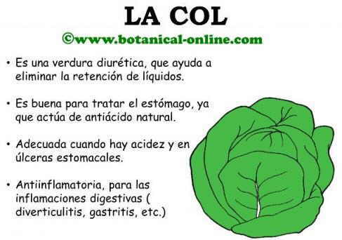 col-propiedades-curativas.jpg
