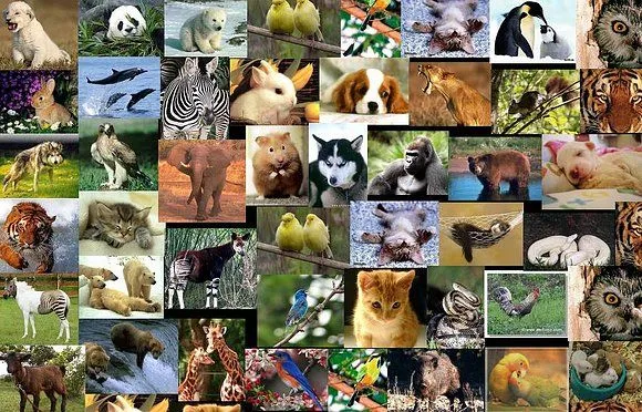 Éste Es Un Ejemplo Muy Bonito De Papel Picado Pictures