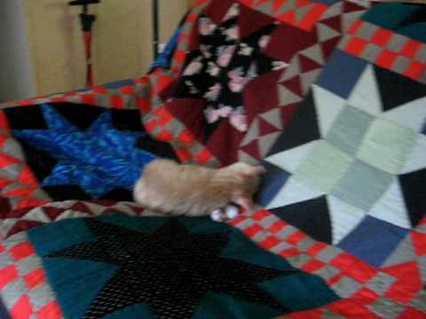 Colchas o edredones hechos con ropa usada y mis gatitos - YouTube Colchas o edredones hechos con ropa usada y mis gatitos - YouTube