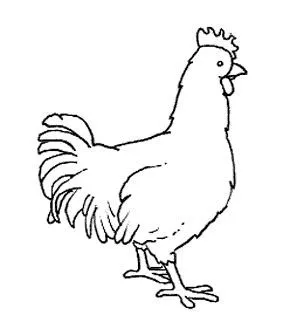 Mi colección de dibujos: ♥ Gallinas infantiles para colorear Mi colección de dibujos: ♥ Gallinas infantiles para colorear