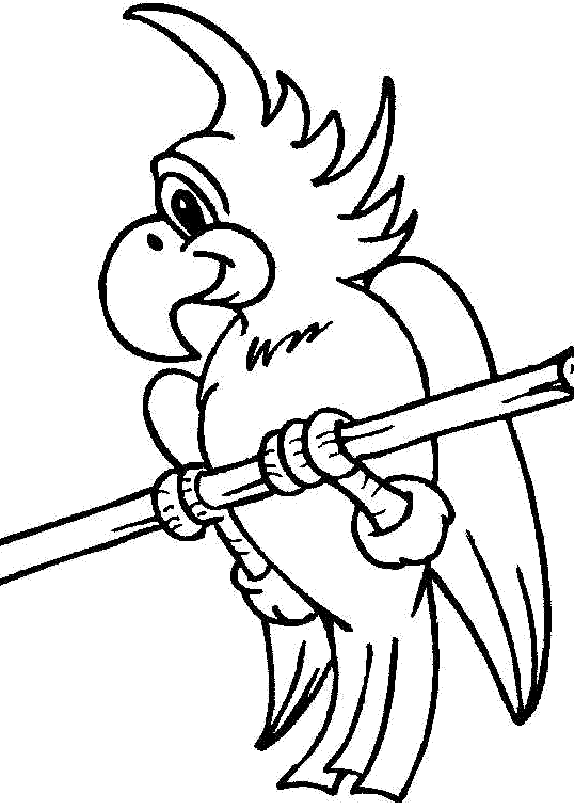 Mi colección de dibujos: ♥ Loros para pintar