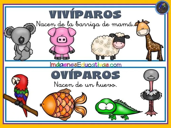 Colección de tarjetas para trabajar los animales – Imagenes Educativas