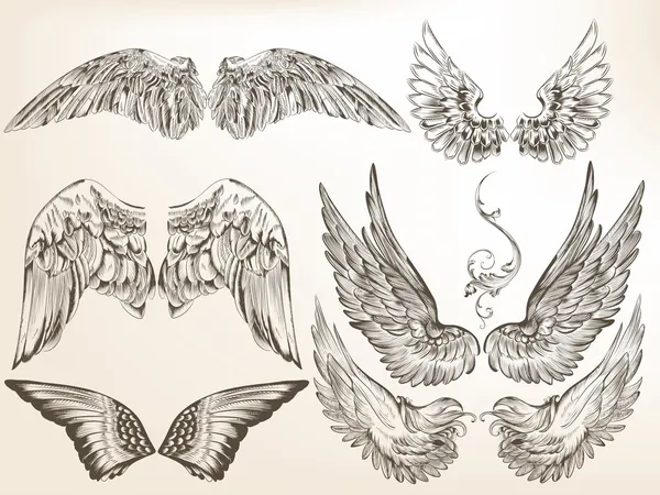 colección de vector alas dibujadas para el diseño de la mano ... colección de vector alas dibujadas para el diseño de la mano ...