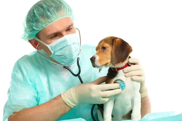Colegio Oficial de Veterinarios de Almeria
