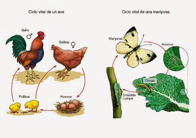 COLEGIO SAN LUIS - TIC 2013 - NIVEL PRIMARIO: septiembre 2013 COLEGIO SAN LUIS - TIC 2013 - NIVEL PRIMARIO: septiembre 2013