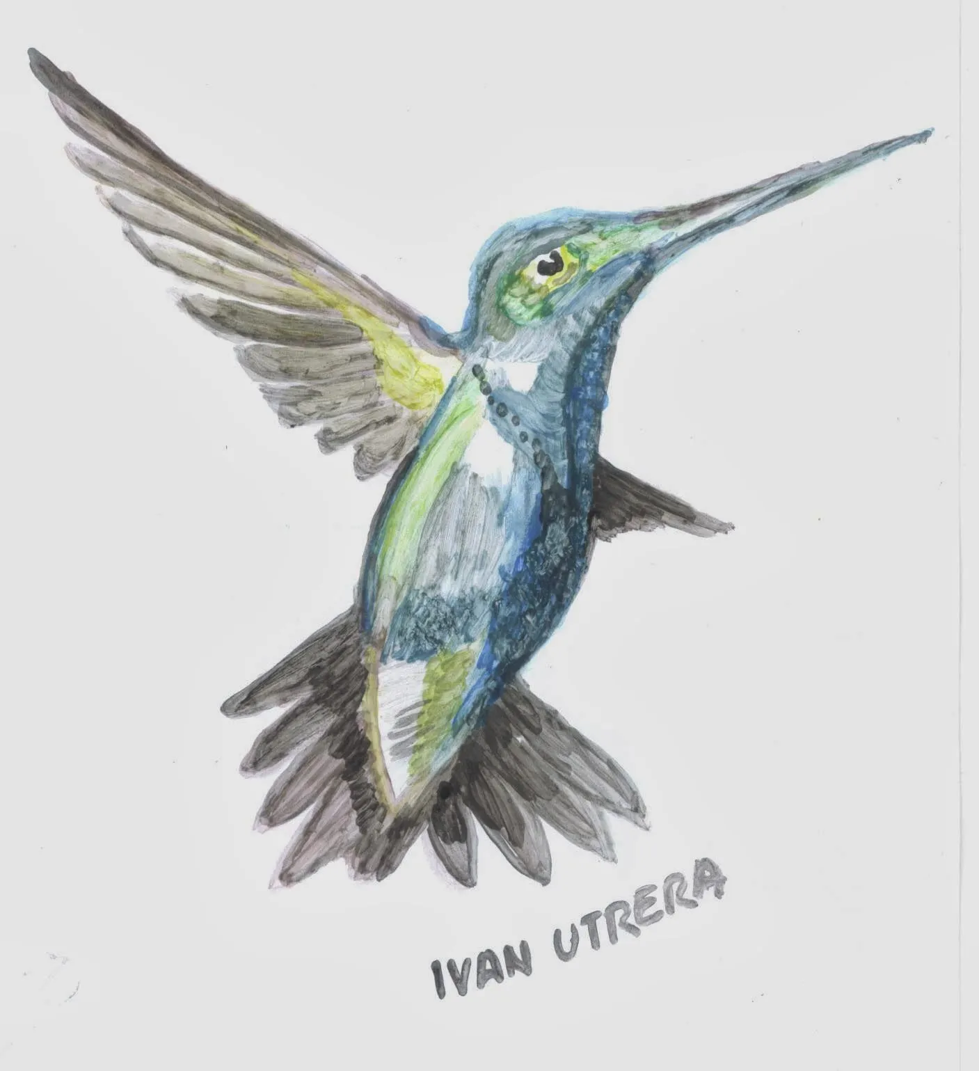 colibrí en acuarela | Dibujo a lápiz, Reciclaje, Tallado en Madera ... colibrí en acuarela | Dibujo a lápiz, Reciclaje, Tallado en Madera ...