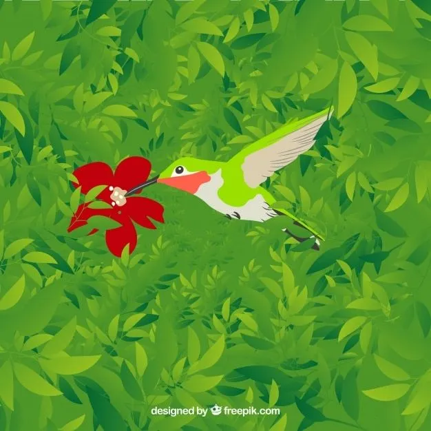 Colibrí forma del pájaro | Descargar Iconos gratis
