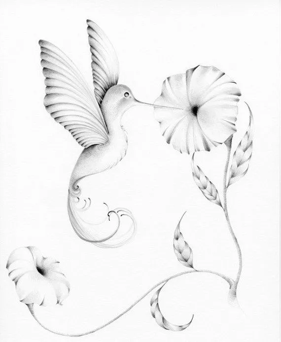 Colibrí personalizado ilustraciones ilustración por ABitofWhimsyArt Colibrí personalizado ilustraciones ilustración por ABitofWhimsyArt