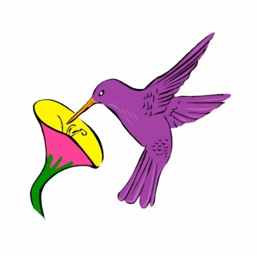 Colibries animados - Imagui