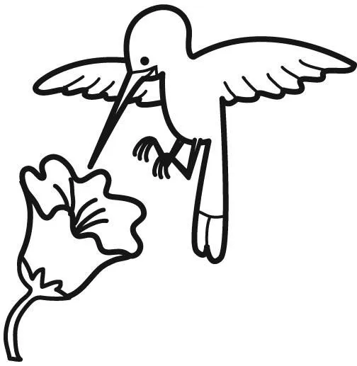 Picaflor para colorear - Imagui