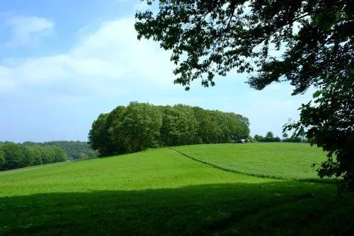 Colinas de Holanda, paraíso para senderistas Colinas de Holanda, paraíso para senderistas