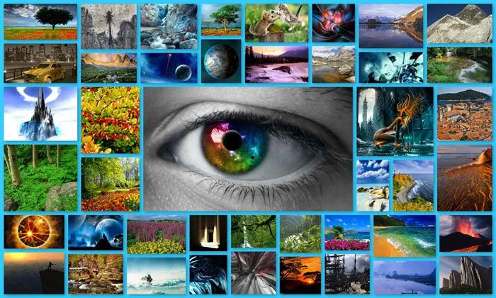 Collage de Imágenes - T173e19