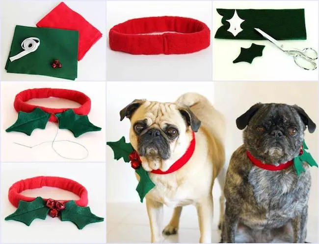 collar para perro | facilisimo.com