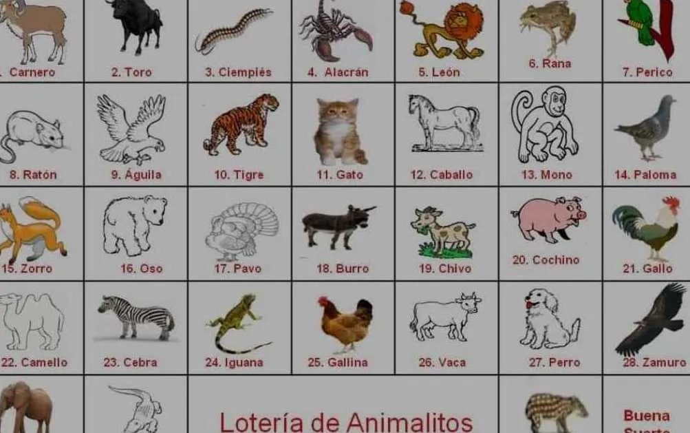 COLÓN! Intendente: Negocios de juegos de envite y azar deben tener permisos para su funcionamiento - Noticia al Minuto COLÓN! Intendente: Negocios de juegos de envite y azar deben tener permisos para su funcionamiento - Noticia al Minuto
