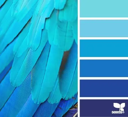 color azul | facilisimo.com