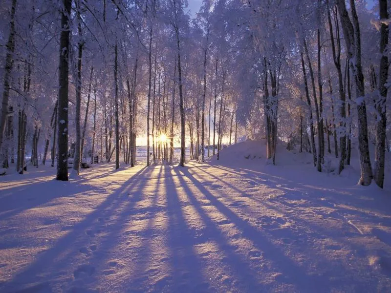 EL COLOR COMUNICA: Feliz Solsticio de invierno y verano @ EL COLOR COMUNICA: Feliz Solsticio de invierno y verano @