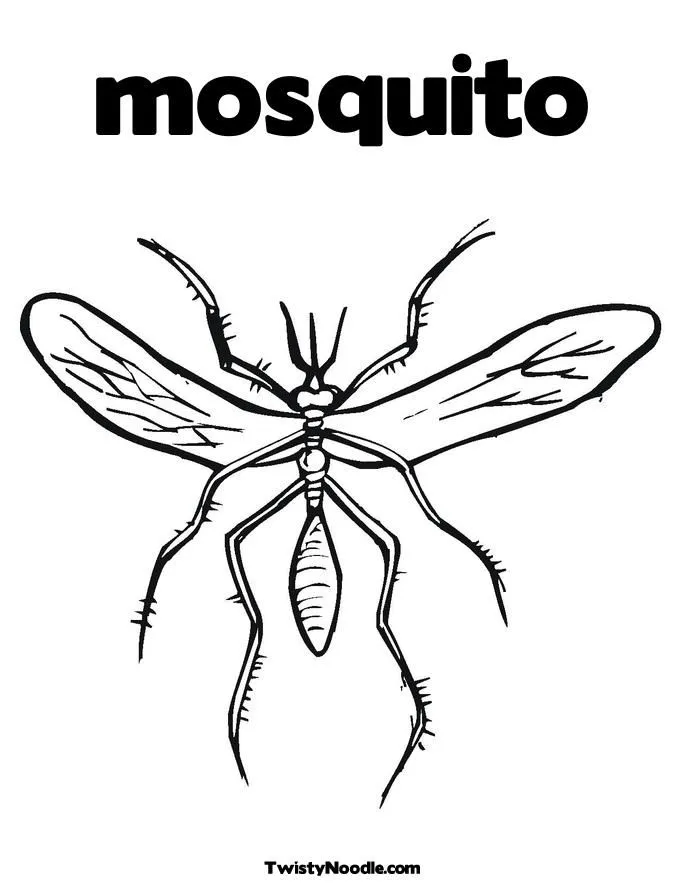 mosquitos del dengue Colouring Pages (page 2) mosquitos del dengue Colouring Pages (page 2)