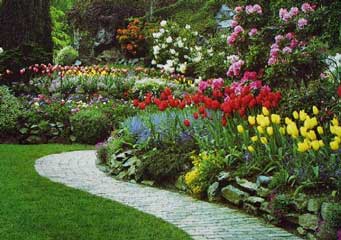 El color en el diseño de jardines y terrazas El color en el diseño de jardines y terrazas