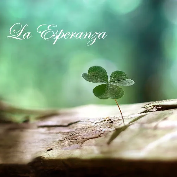 color esperanza | Asomándome a la vida