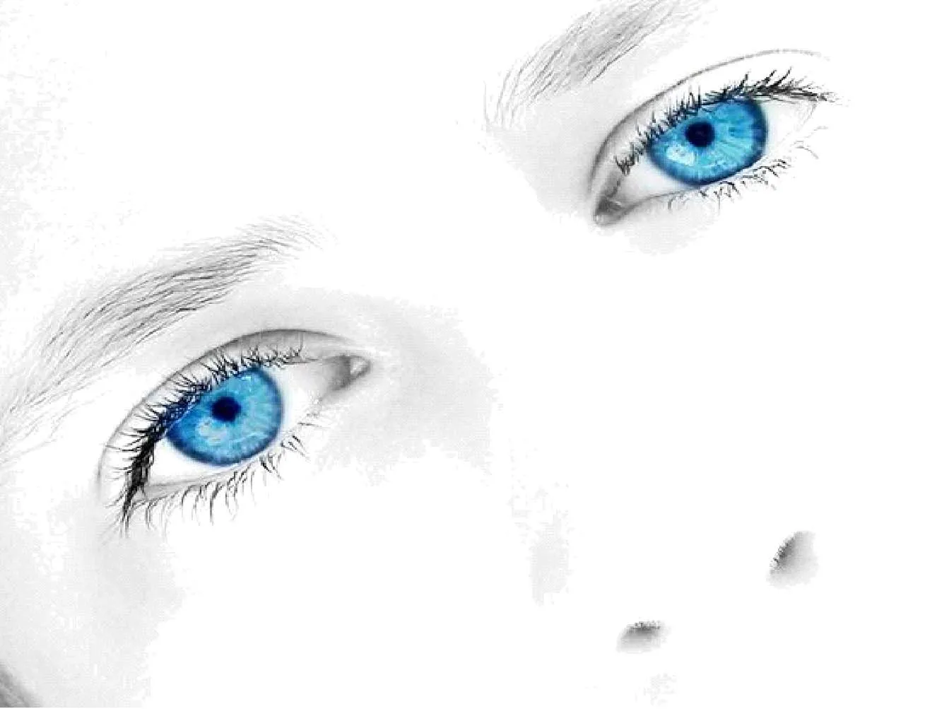 El color de los ojos ~ Ciudad PC
