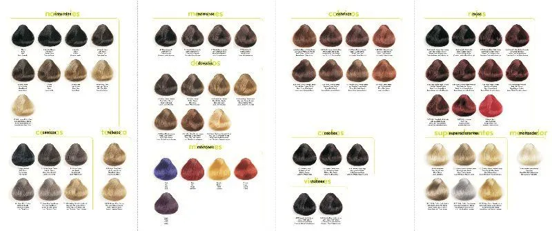 Crema de Color de pelo-Tinte para el cabello -Identificación del ...