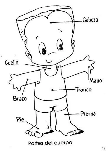 COLOREA TUS DIBUJOS: Partes del Cuerpo Humano para colorear COLOREA TUS DIBUJOS: Partes del Cuerpo Humano para colorear