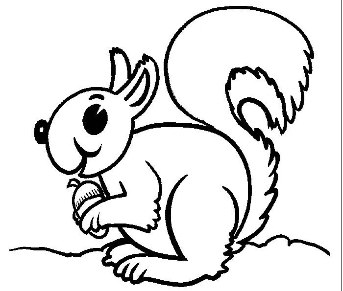 COLOREA TUS DIBUJOS: Ardilla comiendo para colorear