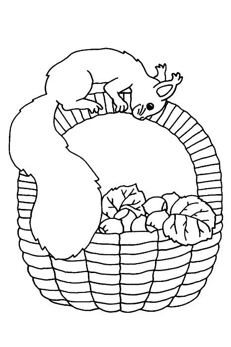 COLOREA TUS DIBUJOS: Ardillas para colorear COLOREA TUS DIBUJOS: Ardillas para colorear