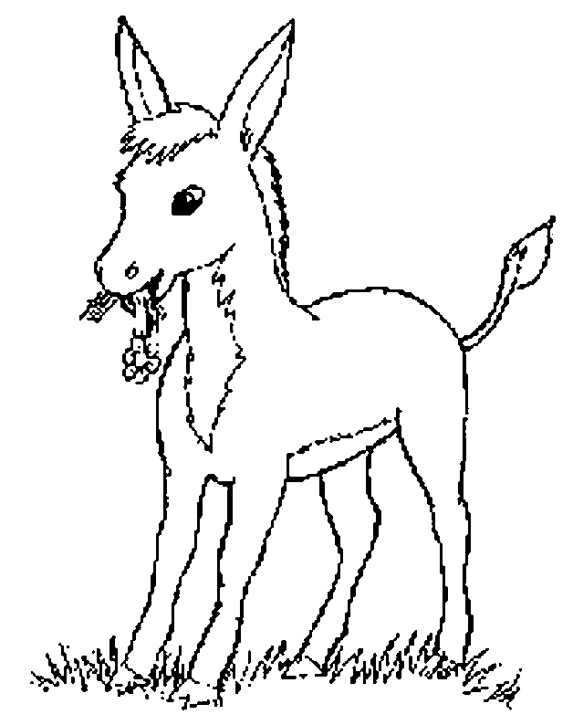 COLOREA TUS DIBUJOS: Asno para colorear