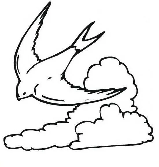 COLOREA TUS DIBUJOS: Aves para colorear