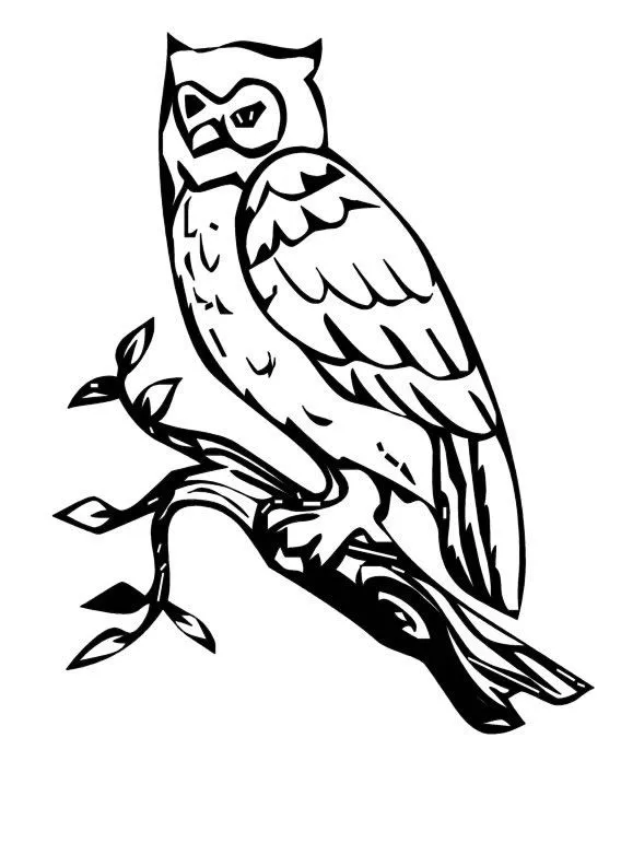 COLOREA TUS DIBUJOS: Búhos para colorear