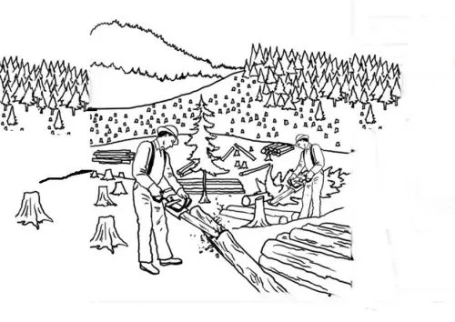 Deforestacion dibujos para colorear - Imagui Deforestacion dibujos para colorear - Imagui