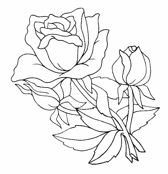 COLOREA TUS DIBUJOS: Rosas para PIntar