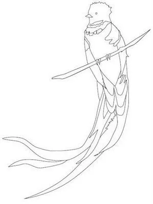 COLOREA TUS DIBUJOS: 09/