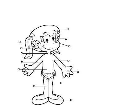 COLOREA TUS DIBUJOS: Laminas del Cuerpo Humano COLOREA TUS DIBUJOS: Laminas del Cuerpo Humano