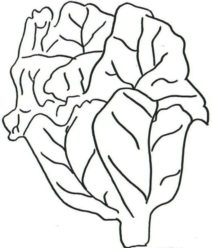 COLOREA TUS DIBUJOS: Alimentos verdes para colorear COLOREA TUS DIBUJOS: Alimentos verdes para colorear