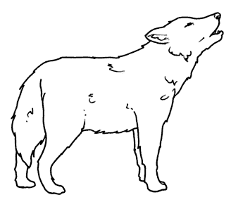 COLOREA TUS DIBUJOS: Lobo ayudando para colorear y pintar COLOREA TUS DIBUJOS: Lobo ayudando para colorear y pintar
