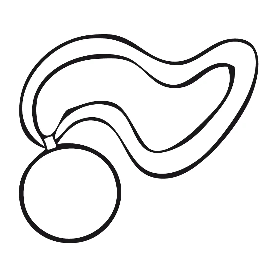 COLOREA TUS DIBUJOS: Medalla para colorear e imprimir COLOREA TUS DIBUJOS: Medalla para colorear e imprimir