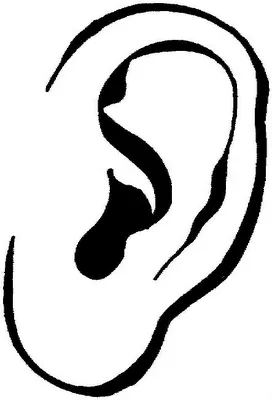 COLOREA TUS DIBUJOS: Oreja para colorear : Sentido del Oído para ... COLOREA TUS DIBUJOS: Oreja para colorear : Sentido del Oído para ...