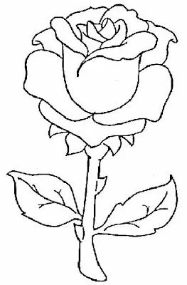 COLOREA TUS DIBUJOS: Dibujos de Flores
