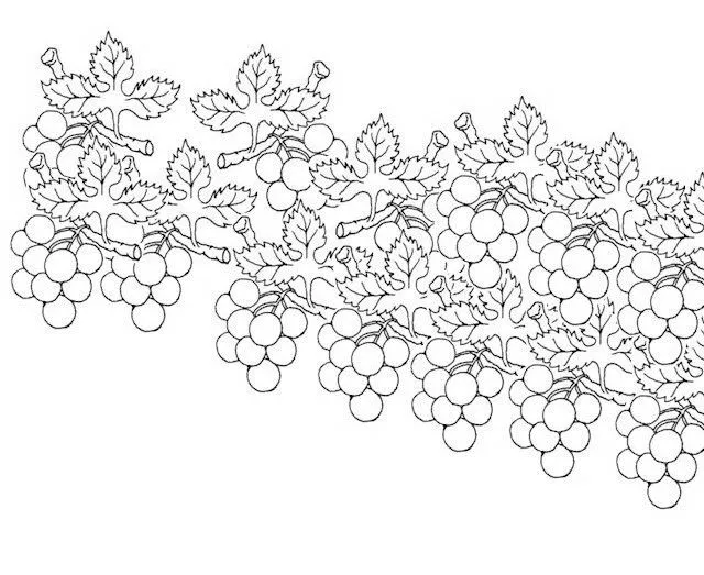 COLOREA TUS DIBUJOS: Uvas para colorear y pintar