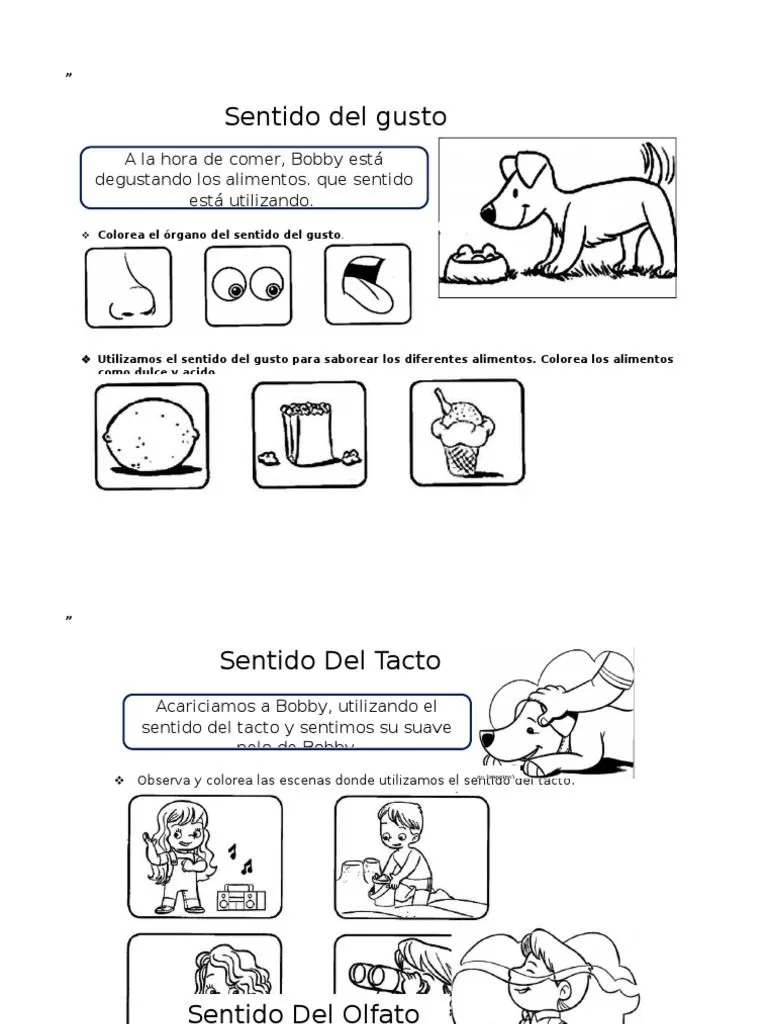 Colorea El Órgano Del Sentido Del Gusto | PDF Colorea El Órgano Del Sentido Del Gusto | PDF