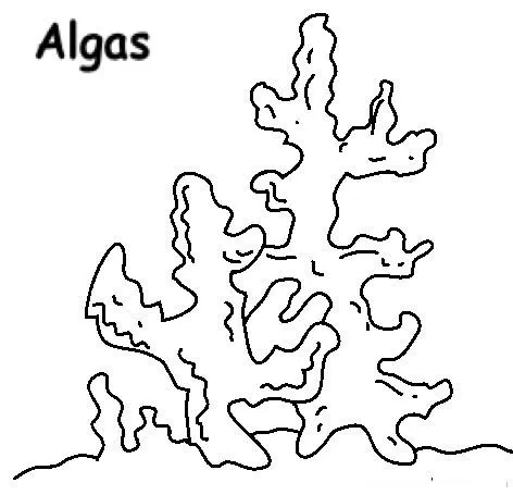Para colorear algas - Imagui
