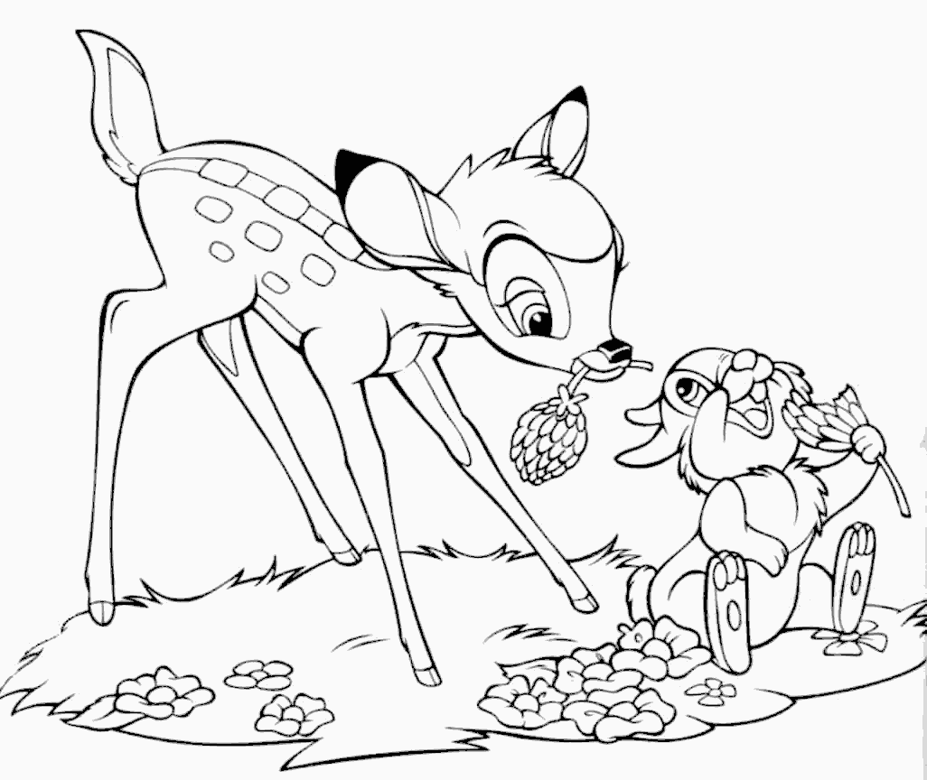 Animales dibujos para pintar - Dibujos para colorear - IMAGIXS Animales dibujos para pintar - Dibujos para colorear - IMAGIXS
