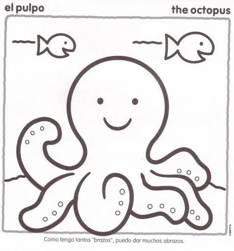 COLOREAR ANIMALES MARINOS