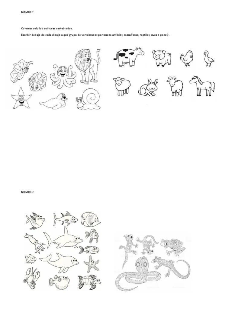 Colorear Solo Los Animales Vertebrados | PDF Colorear Solo Los Animales Vertebrados | PDF