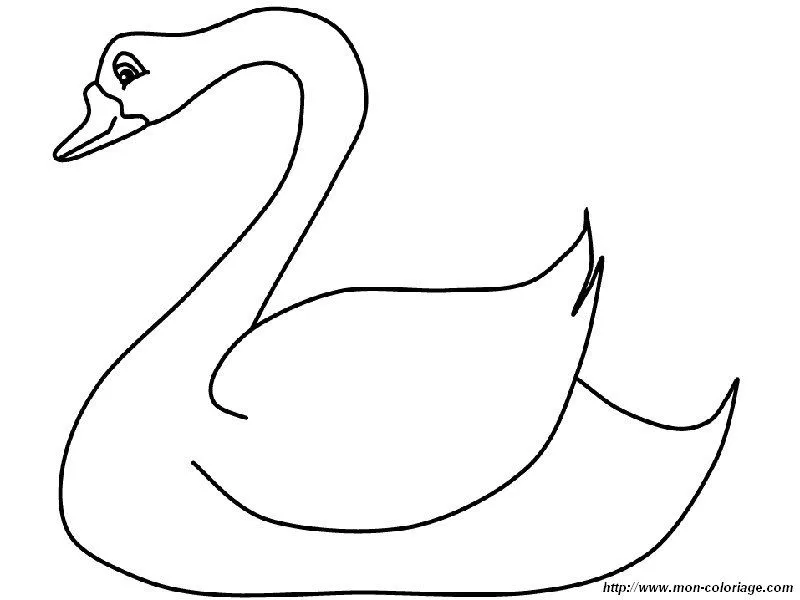 Colorear Aves, dibujo cisne