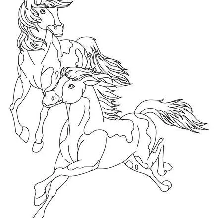 Colorear CABALLOS : 51 dibujos de animales para colorear y pintar ... Colorear CABALLOS : 51 dibujos de animales para colorear y pintar ...