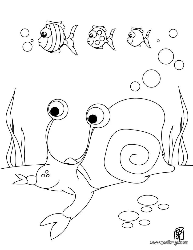 Dibujos para colorear un caracol de mar - es.hellokids.com Dibujos para colorear un caracol de mar - es.hellokids.com