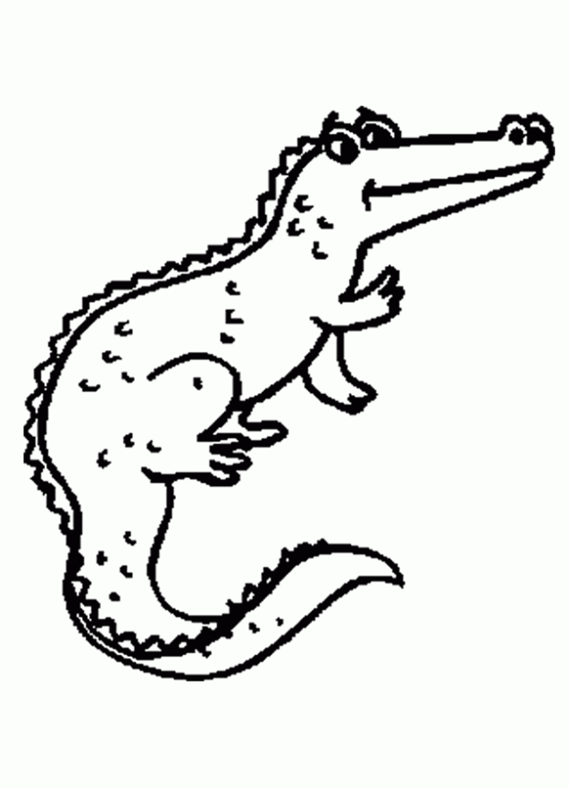 Dibujo de Cocodrilos para colorear. Dibujos infantiles de ...